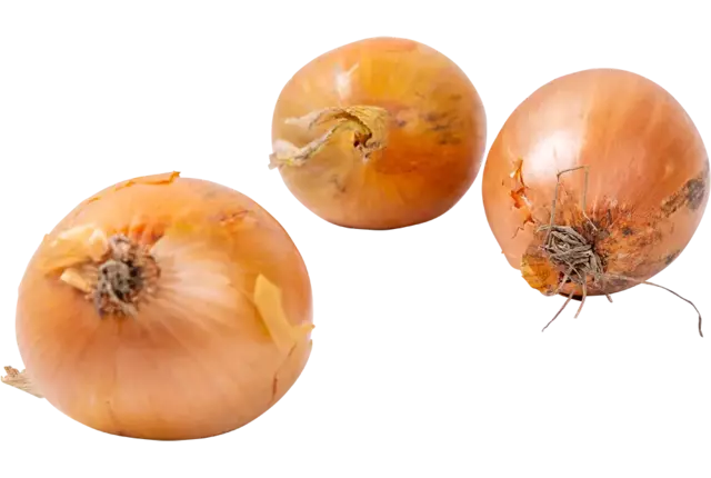 Uien verpakt 1kg 40-60 stuk